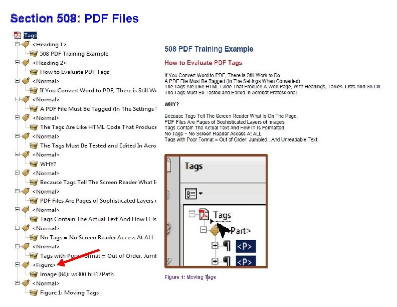 Section 508: PDF Files 