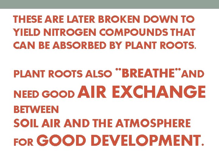 THESE ARE LATER BROKEN DOWN TO YIELD NITROGEN COMPOUNDS THAT CAN BE ABSORBED BY