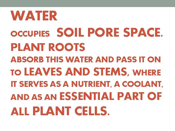 WATER OCCUPIES SOIL PORE SPACE. PLANT ROOTS ABSORB THIS WATER AND PASS IT ON