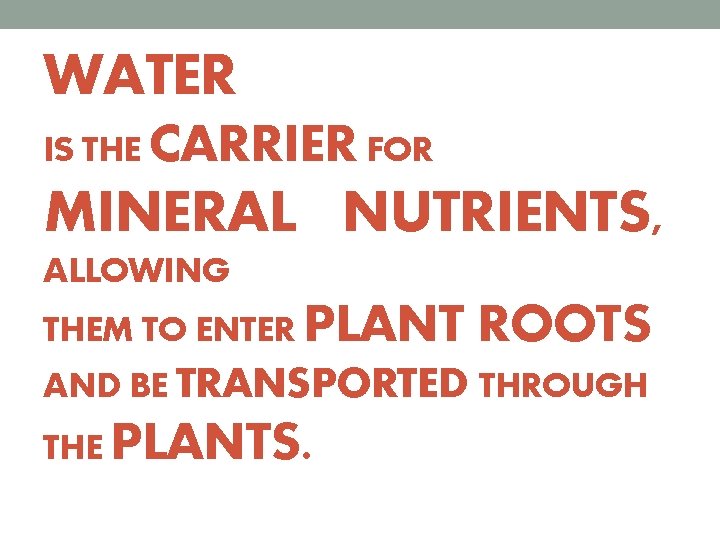 WATER IS THE CARRIER FOR MINERAL NUTRIENTS, ALLOWING THEM TO ENTER PLANT ROOTS AND