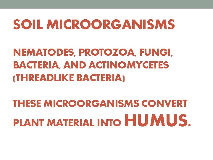 SOIL MICROORGANISMS NEMATODES, PROTOZOA, FUNGI, BACTERIA, AND ACTINOMYCETES (THREADLIKE BACTERIA) THESE MICROORGANISMS CONVERT PLANT