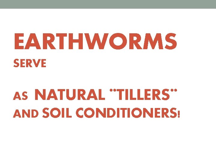 EARTHWORMS SERVE AS NATURAL ¨TILLERS¨ AND SOIL CONDITIONERS! 