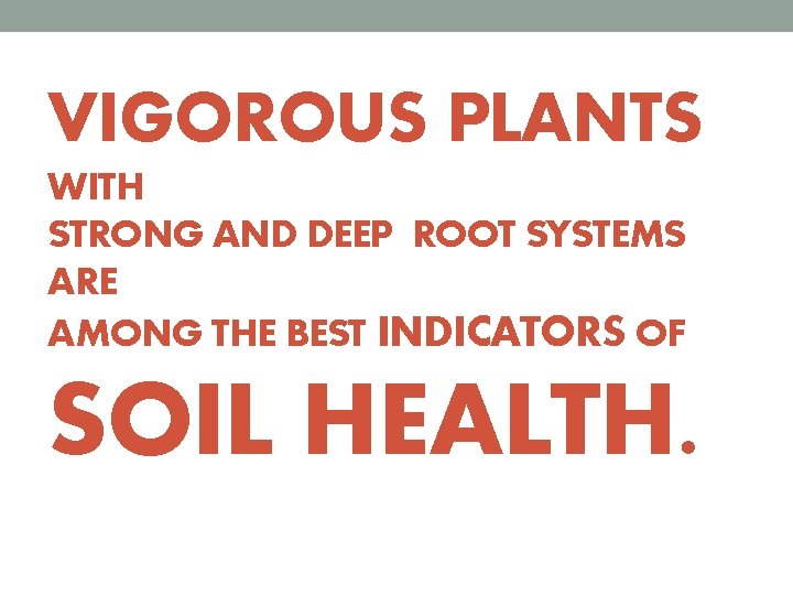 VIGOROUS PLANTS WITH STRONG AND DEEP ROOT SYSTEMS ARE AMONG THE BEST INDICATORS OF