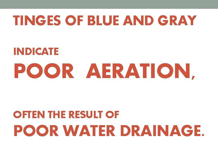TINGES OF BLUE AND GRAY INDICATE POOR AERATION, OFTEN THE RESULT OF POOR WATER
