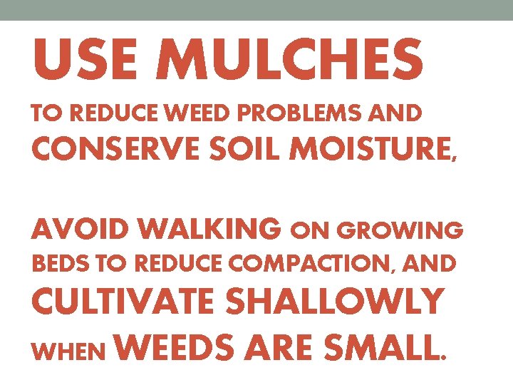USE MULCHES TO REDUCE WEED PROBLEMS AND CONSERVE SOIL MOISTURE, AVOID WALKING ON GROWING