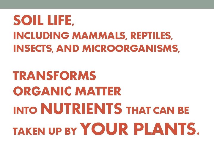 SOIL LIFE, INCLUDING MAMMALS, REPTILES, INSECTS, AND MICROORGANISMS, TRANSFORMS ORGANIC MATTER INTO NUTRIENTS THAT