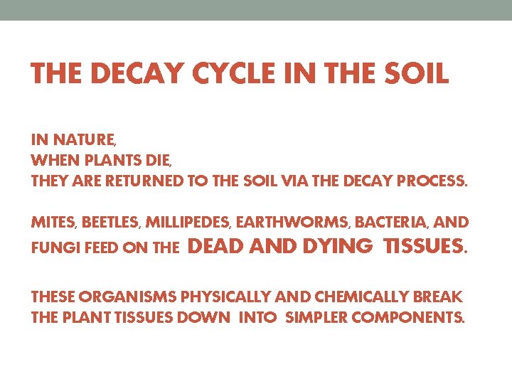 THE DECAY CYCLE IN THE SOIL IN NATURE, WHEN PLANTS DIE, THEY ARE RETURNED
