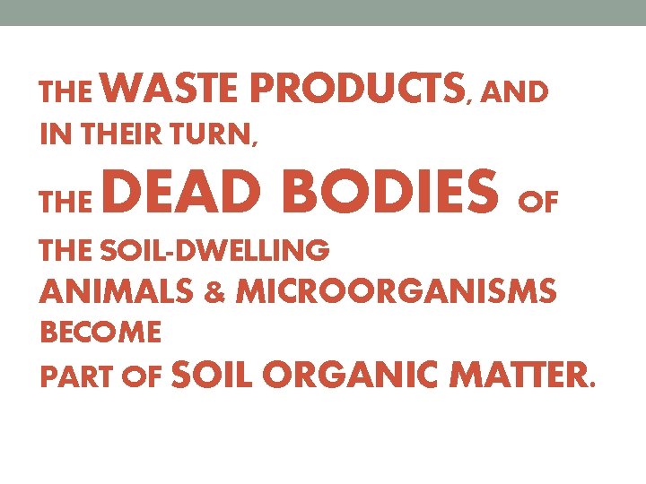 THE WASTE PRODUCTS, AND IN THEIR TURN, THE DEAD BODIES OF THE SOIL-DWELLING ANIMALS