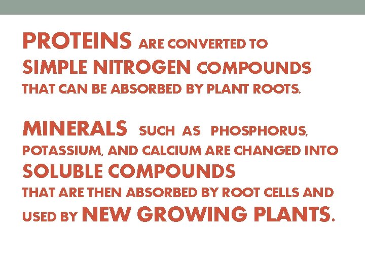 PROTEINS ARE CONVERTED TO SIMPLE NITROGEN COMPOUNDS THAT CAN BE ABSORBED BY PLANT ROOTS.
