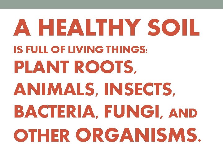 A HEALTHY SOIL IS FULL OF LIVING THINGS: PLANT ROOTS, ANIMALS, INSECTS, BACTERIA, FUNGI,