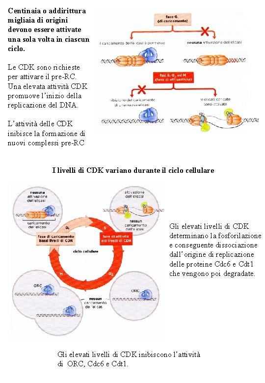 Centinaia o addirittura migliaia di origini devono essere attivate una sola volta in ciascun