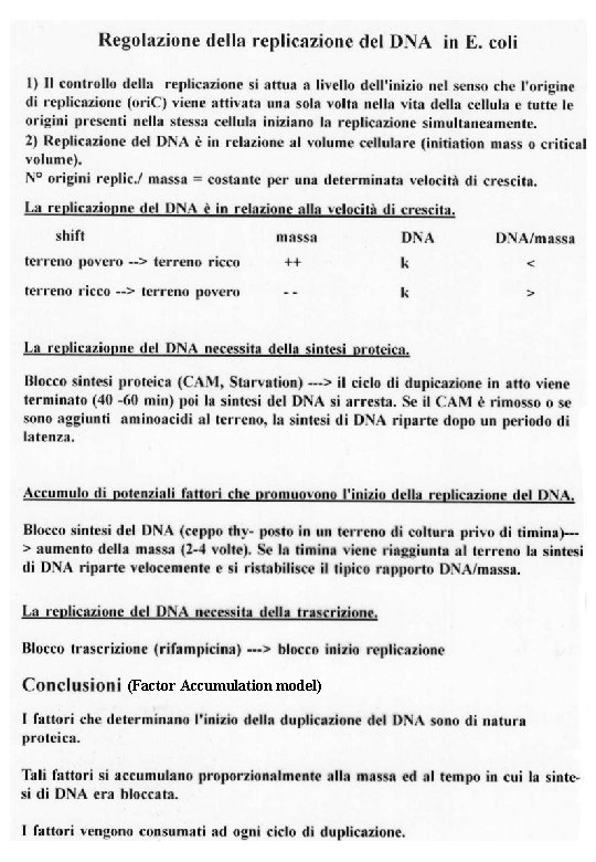 (Factor Accumulation model) 
