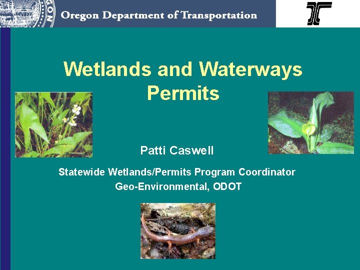 Wetlands and Waterways Permits Patti Caswell Statewide Wetlands/Permits Program Coordinator Geo-Environmental, ODOT 