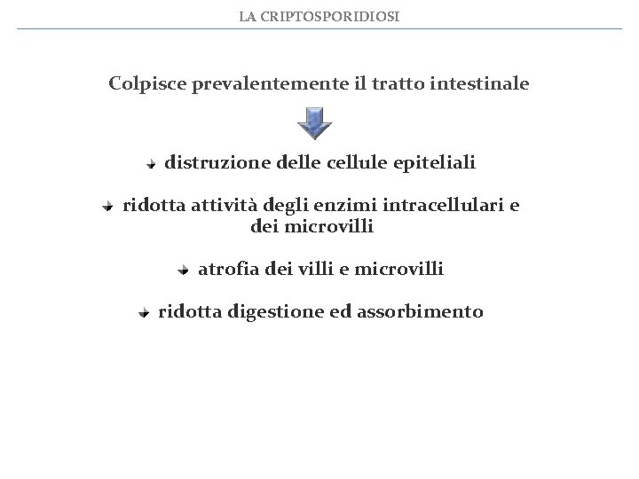 LA CRIPTOSPORIDIOSI Colpisce prevalentemente il tratto intestinale distruzione delle cellule epiteliali ridotta attività degli