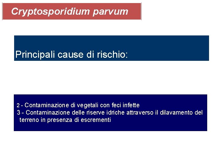 Cryptosporidium parvum Principali cause di rischio: 2 - Contaminazione di vegetali con feci infette