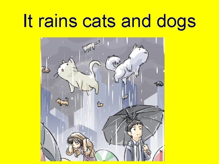 It rains cats and dogs 