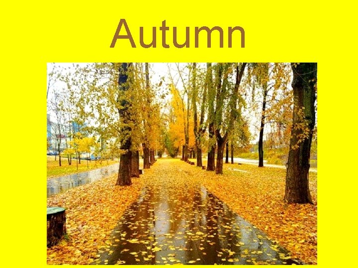 Autumn 