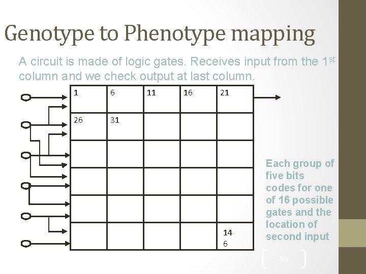 Genotype to Phenotype mapping A circuit is made of logic gates. Receives input from