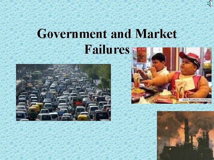 Government and Market Failures 