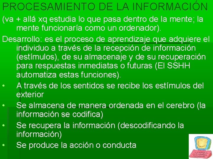 PROCESAMIENTO DE LA INFORMACIÓN (va + allá xq estudia lo que pasa dentro de