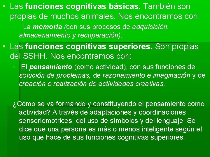  Las funciones cognitivas básicas. También son propias de muchos animales. Nos encontramos con: