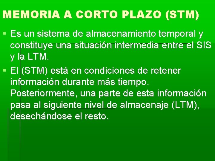 MEMORIA A CORTO PLAZO (STM) Es un sistema de almacenamiento temporal y constituye una