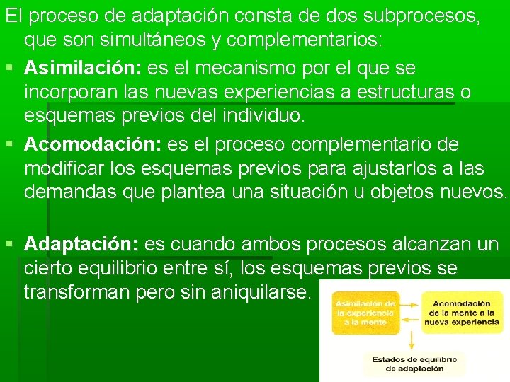 El proceso de adaptación consta de dos subprocesos, que son simultáneos y complementarios: Asimilación: