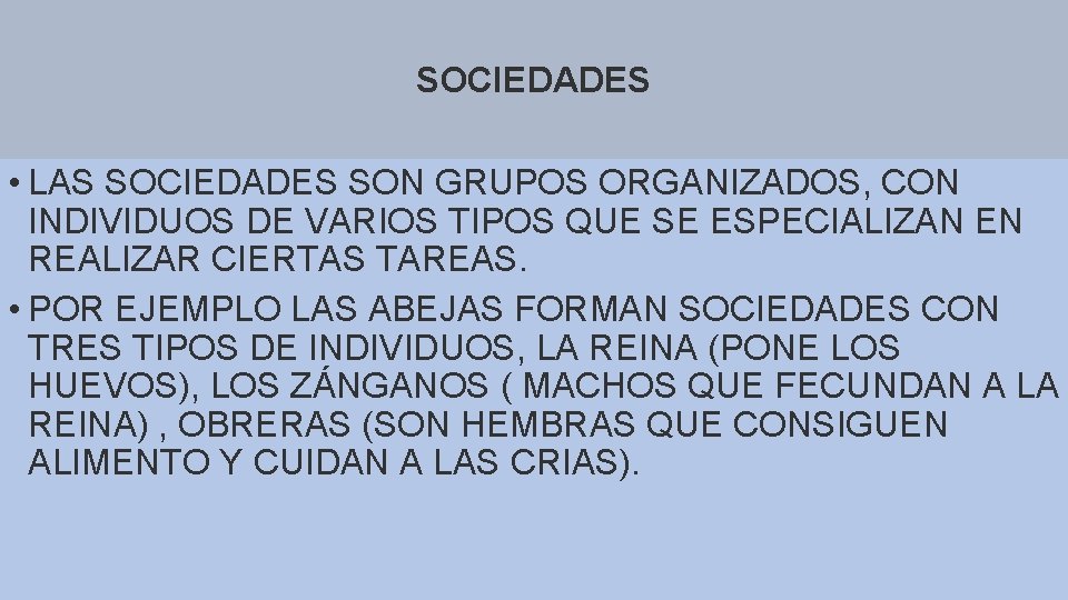 SOCIEDADES • LAS SOCIEDADES SON GRUPOS ORGANIZADOS, CON INDIVIDUOS DE VARIOS TIPOS QUE SE