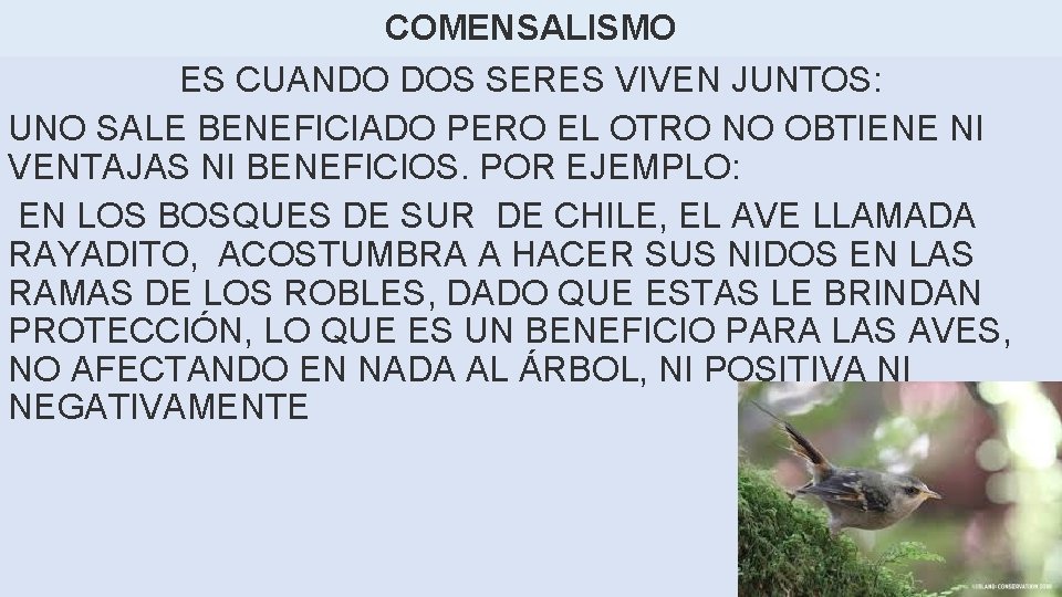 COMENSALISMO ES CUANDO DOS SERES VIVEN JUNTOS: UNO SALE BENEFICIADO PERO EL OTRO NO