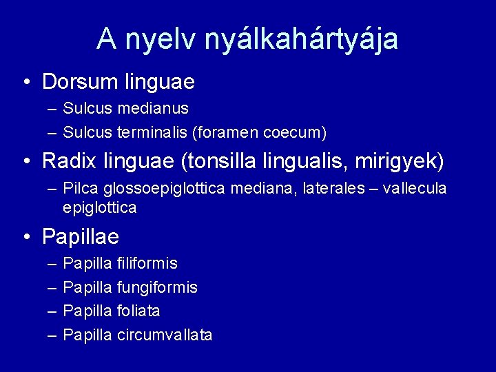 A nyelv nyálkahártyája • Dorsum linguae – Sulcus medianus – Sulcus terminalis (foramen coecum)