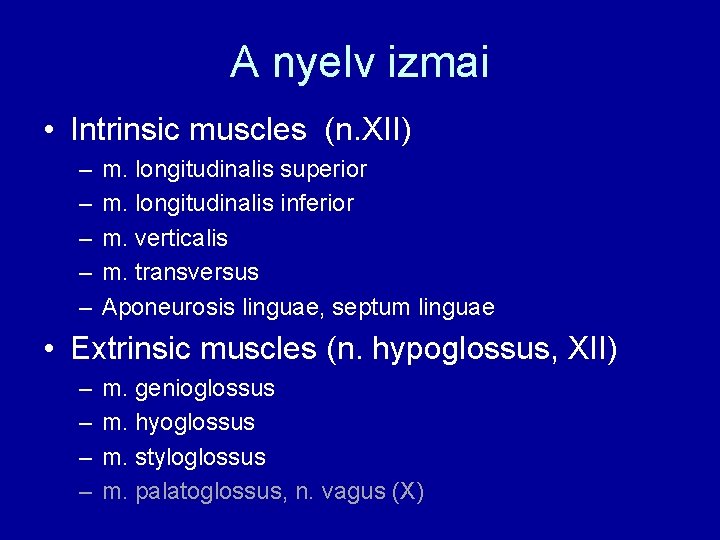 A nyelv izmai • Intrinsic muscles (n. XII) – – – m. longitudinalis superior