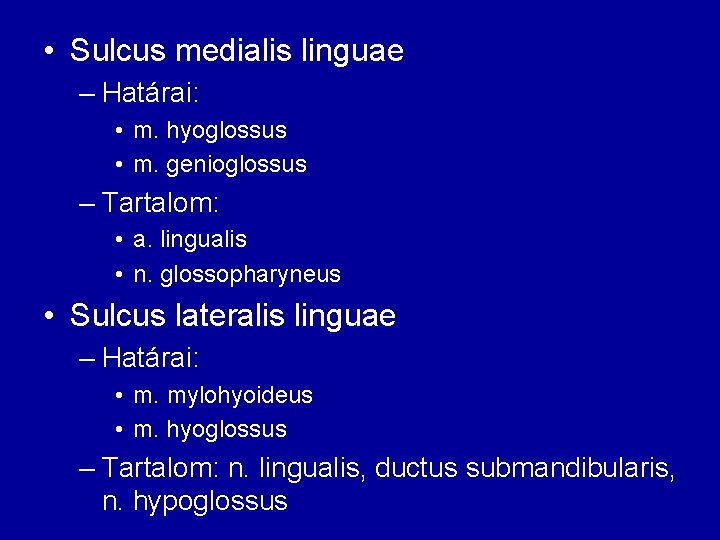  • Sulcus medialis linguae – Határai: • m. hyoglossus • m. genioglossus –