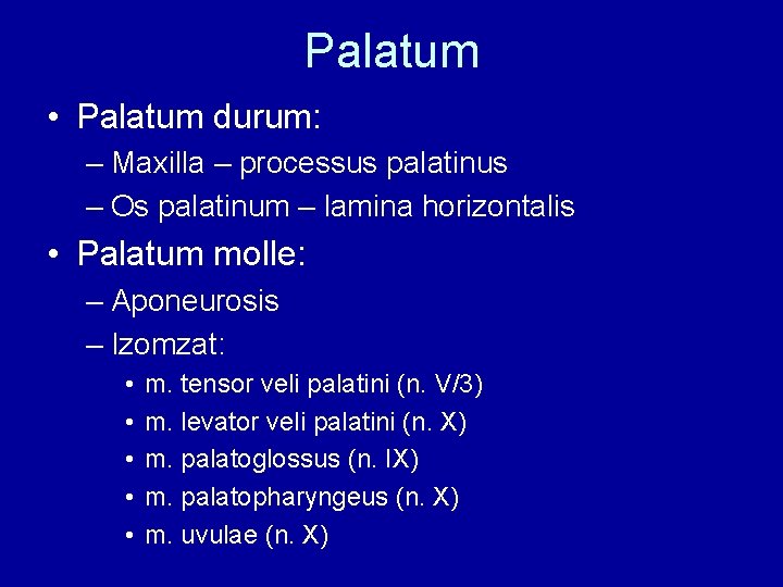 Palatum • Palatum durum: – Maxilla – processus palatinus – Os palatinum – lamina