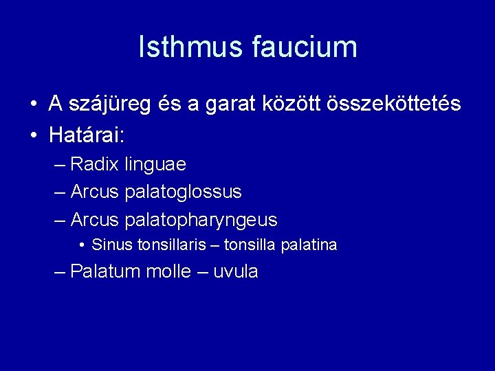 Isthmus faucium • A szájüreg és a garat között összeköttetés • Határai: – Radix