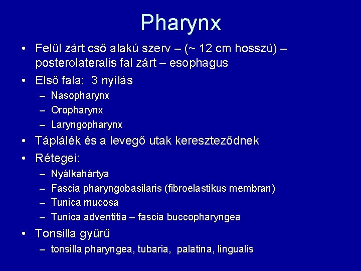 Pharynx • Felül zárt cső alakú szerv – (~ 12 cm hosszú) – posterolateralis