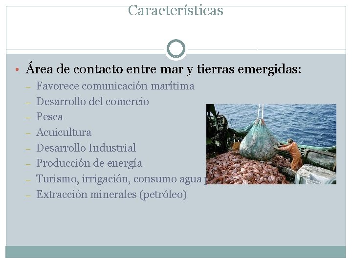 Características • Área de contacto entre mar y tierras emergidas: – – – –