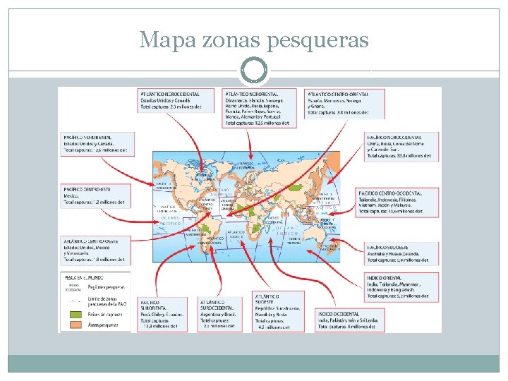 Mapa zonas pesqueras 