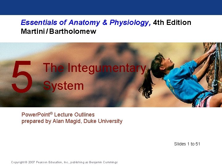 Essentials of Anatomy & Physiology, 4 th Edition Martini / Bartholomew 5 The Integumentary