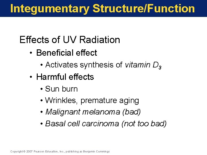 Integumentary Structure/Function Effects of UV Radiation • Beneficial effect • Activates synthesis of vitamin