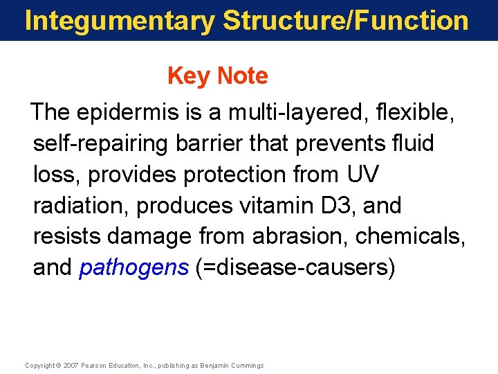 Integumentary Structure/Function Key Note The epidermis is a multi-layered, flexible, self-repairing barrier that prevents