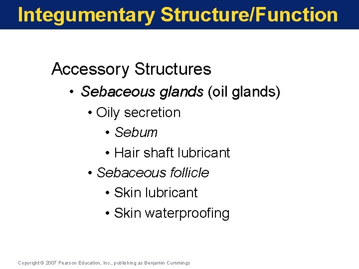 Integumentary Structure/Function Accessory Structures • Sebaceous glands (oil glands) • Oily secretion • Sebum