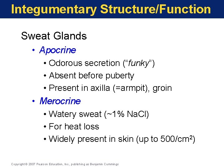 Integumentary Structure/Function Sweat Glands • Apocrine • Odorous secretion (“funky”) • Absent before puberty