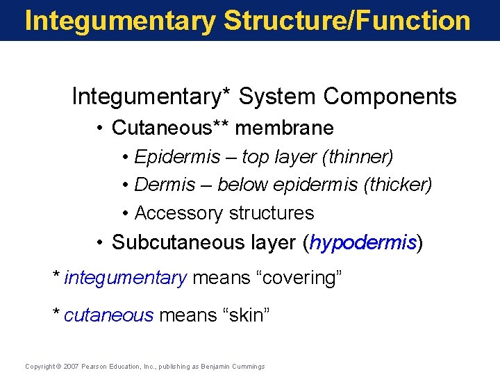 Integumentary Structure/Function Integumentary* System Components • Cutaneous** membrane • Epidermis – top layer (thinner)