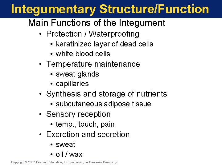 Integumentary Structure/Function Main Functions of the Integument • Protection / Waterproofing • keratinized layer