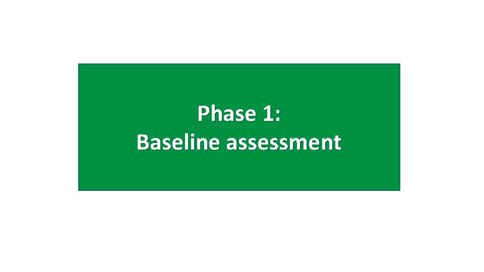 Phase 1: Baseline assessment 