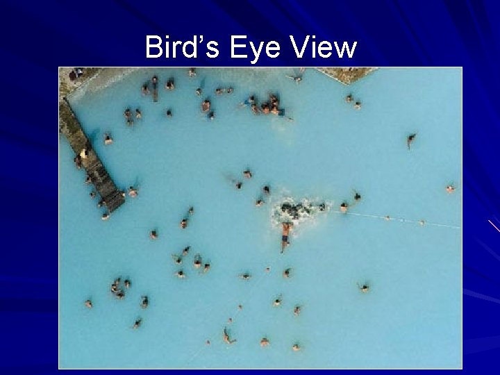 Bird’s Eye View 