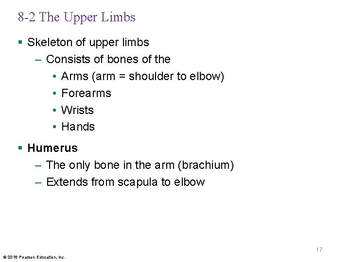 8 -2 The Upper Limbs § Skeleton of upper limbs – Consists of bones