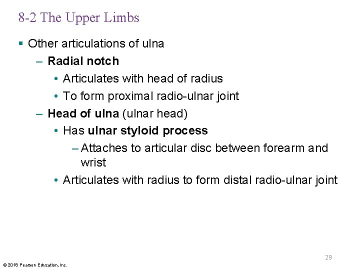 8 -2 The Upper Limbs § Other articulations of ulna – Radial notch •