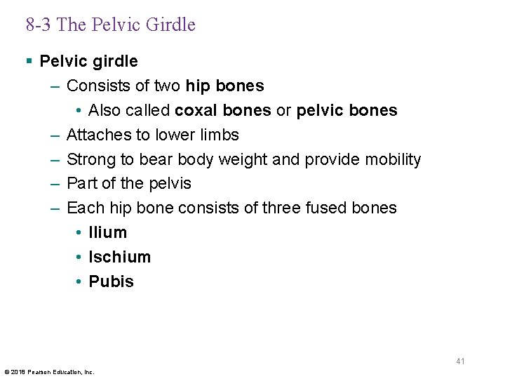 8 -3 The Pelvic Girdle § Pelvic girdle – Consists of two hip bones