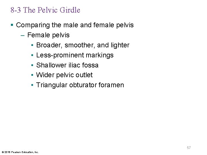 8 -3 The Pelvic Girdle § Comparing the male and female pelvis – Female